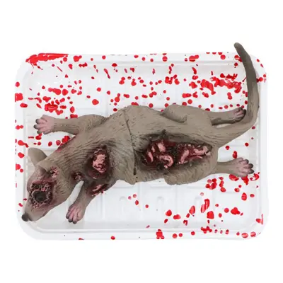 Blodig Råtta på Fat